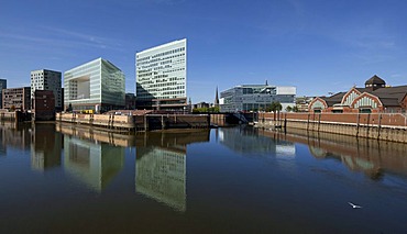 Spiegel publishing house and the Erik-Kontor office building on Ericusspitze, HafenCity district, Hamburg, Germany, Europe