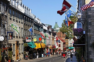 Rue Saint Louis, Quebec City, UNESCO World Heritage Site, Quebec, Canada