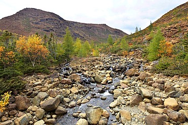 Mont Albert landscape, Gaspesie National Park, Quebec, Canada