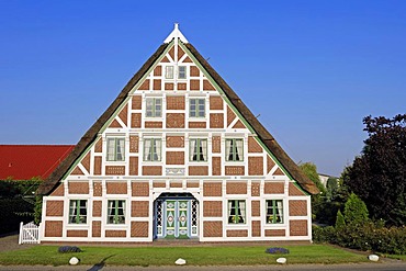 Thatched farmhouse near Steinkirchen, Altes Land, Lower Saxony, Germany, Europe