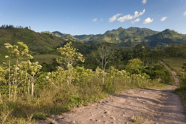 Unpaved road through the northeastern uplands with tropical vegetation, Nicaragua, Central America