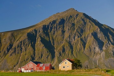 Mountains, green meadows and houses near the village Flakstad, Vareid, Fredvang, island of Flakstadoya, Flakstadoya, Lofoten archipelago, Nordland, Norway, Europe