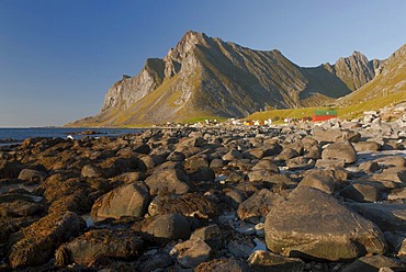 Mountains behind rocks on the beach of the Norwegian Sea, Vikten, Fredvang, island of Flakstadoya, Flakstadoya, Lofoten archipelago, Nordland, Norway, Europe