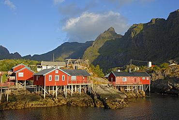 Typical red rorbuer huts, rorbu, at the coast of the Norwegian Sea, mountains at back, A, Moskenes, SorvAgen, island of Moskenesoy, Moskenesoy, Lofoten archipelago, Nordland, Norway, Europe