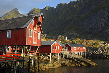 Typical red rorbuer huts, rorbu, at the coast of the Norwegian Sea, mountains at back, A, Moskenes, SorvAgen, island of Moskenesoy, Moskenesoy, Lofoten archipelago, Nordland, Norway, Europe