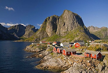 Typical red rorbuer huts, rorbu, at the coast of the Norwegian Sea, mountains at back, Hamnoy, island of Moskenesoy, Moskenesoy, Lofoten archipelago, Nordland, Norway, Europe