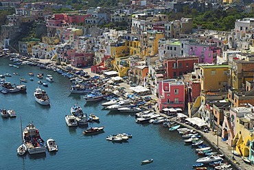 The colorful houses of the fishing harbour of Procida island, Flegrean Islands, Gulf of Naples, Campania, southern Italy, Europe