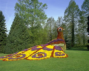 Park and gardens at Schloss Mainau castle, Konstanz, Baden-Wuerttemberg, Germany, Europe