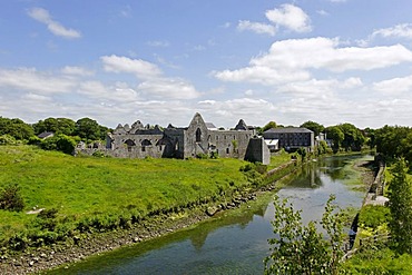 Ruins of the former Franciscan monastery, Askeaton on the River Deel, County Limerick, Ireland, Europe