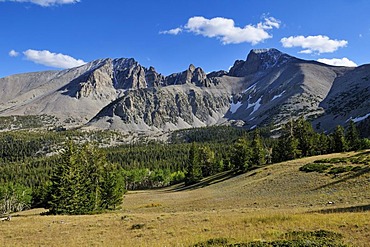 Mount Wheeler, Great Basin National Park, Nevada, USA, North America