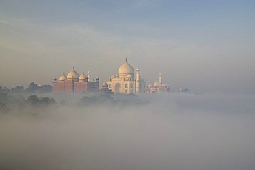 Taj Mahal, UNESCO World Heritage Site, arising out of the morning fog over river Yamuna, Agra, Uttar Pradesh, India, Asia