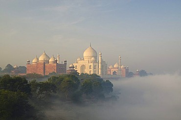 Taj Mahal, UNESCO World Heritage Site, arising out of the morning fog over river Yamuna, Agra, Uttar Pradesh, India, Asia