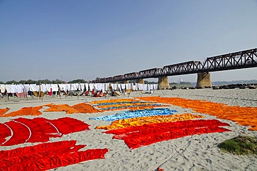 Laundry done by the Dhobis or laundry workers, on the banks of river Yamuna, Agra, Uttar Pradesh, India, Asia