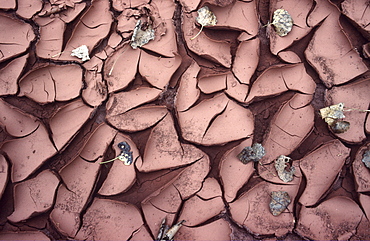 Dried out river channel, Utah, USA, North America