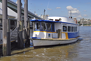 Trans Link ferry, Brisbane River, Brisbane, Queensland, Australia