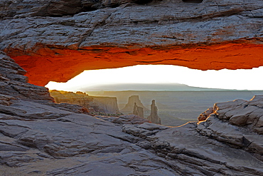 Mesa Arch at sunrise, Canyonlands National Park, Utah, USA