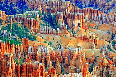 Rock formations and hoodoos, Bryce Canyon in the morning light, Bryce Canyon, Utah, USA