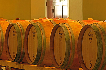 Wine barrels, Chianti, Castello di Brolio cellar, Brolio Castle Cellar, Ricasoli Vineyard, Siena Province, Tuscany, Italy, Europe