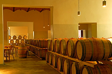 Wine barrels, Chianti, Castello di Brolio cellar, Brolio Castle Cellar, Ricasoli Vineyard, Siena Province, Tuscany, Italy, Europe