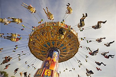 Chair swing ride or Chair-O-Planes, Oktoberfest, Munich, Bavaria, Germany, Europe