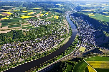 Aerial view, Moselle river at Dieblich, left, and Kobern, right, Rhineland-Palatinate, Germany, Europe