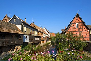 Half-timbered houses in Kaysersberg, Alsace, France, Europe