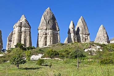 Fairy chimneys, tufa landscape in the valley of love in Goreme, UNESCO World Heritage Site, Cappadocia, Anatolia, Turkey