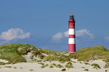 Amrum lighthouse on the dunes, Amrum Island, Nordfriesland, North Frisia, Schleswig-Holstein, Germany, Europe