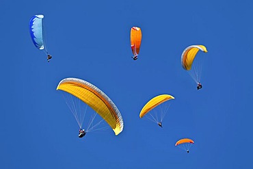 Paragliders in the air, Tegelberg Mountain, Upper Bavaria, Bavaria, Germany, Europe, PublicGround