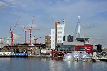 Modern architecture along the Nieuwe Maas River, construction site of Wilhelminapier, Rijn Haven, Rhine Harbour, Kop van Zuid, Rotterdam, Holland, Nederland, Netherlands, Europe