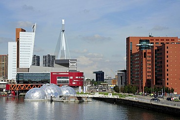 Modern architecture along the Nieuwe Maas River, Wilhelminapier, Rijn Haven, Rhine Harbour, Kop van Zuid, Rotterdam, Holland, Nederland, Netherlands, Europe