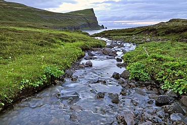 Smidjuvik, east coast of Hornstrandir, Westfjords, Iceland, Europe