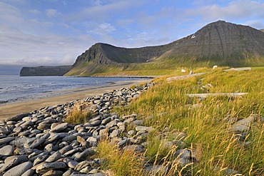 Stones and driftwood on the beach, HÃŠlavik or Haelavik bay, Hornstrandir, Westfjords, Iceland, Europe