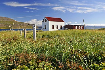 Old house, Hesteyri, Hesteyrarfjoerï£¿ur or Joekulfirï£¿ir, Hornstrandir hiking paradise, Westfjords, Iceland, Europe