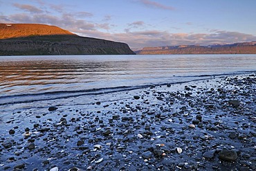 Beach with sea shells, mid-summer night, Hesteyri, Hesteyrarfjoerï£¿ur or Joekulfirï£¿ir, Hornstrandir hiking paradise, Westfjords, Iceland, Europe