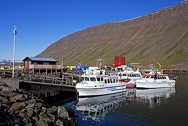 Port with passenger boats, Isafjoerï£¿ur, Iceland, Europe