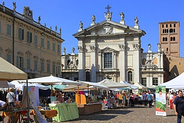 Cathedral and Romanesque bell tower, Mantua, Mantova, Lombardy, Italy, Europe