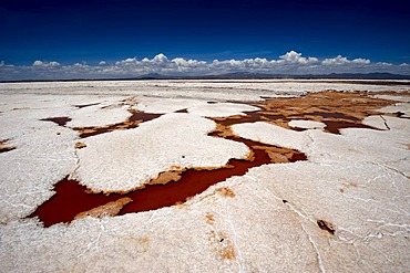 Sulfur spring, Salar de Uyuni salt lake, Uyuni, Bolivia, South America