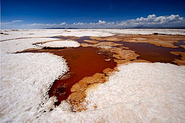 Sulfur spring, Salar de Uyuni salt lake, Uyuni, Bolivia, South America