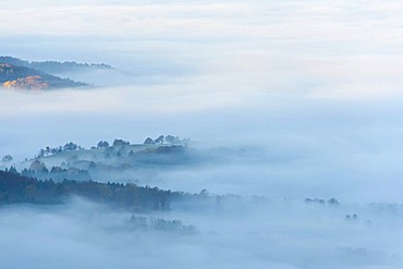 Misty landscape near Balingen, Swabian Alb, Baden-Wuerttemberg, Germany, Europe