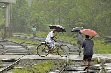 Cyclists and pedestrians in heavy rain, railway crossing in Kalawewa, Sri Lanka, Ceylon, South Asia, Asia, PublicGround