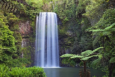 Millaa Millaa Falls, Atherton Tablelands, Queensland, Australia