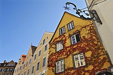 Vine-covered facades, Alte Bergstrasse street, Landsberg am Lech, Bavaria, Germany, Europe