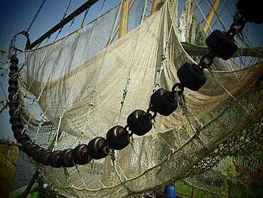 Nets, shrimp cutter, East Frisia, Lower Saxony, Germany, Europe