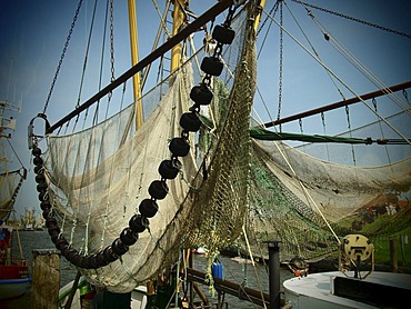 Nets, shrimp cutter, East Frisia, Lower Saxony, Germany, Europe