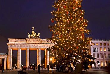 Brandenburg Gate at night, Christmas tree, Mitte, Berlin, Germany, Europe