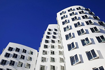 Neuer Zollhof building designed by architect Frank O. Gehry, Medienhafen, Duesseldorf, North Rhine-Westphalia, Germany, Europe