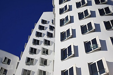 Neuer Zollhof building designed by architect Frank O. Gehry, Medienhafen, Duesseldorf, North Rhine-Westphalia, Germany, Europe