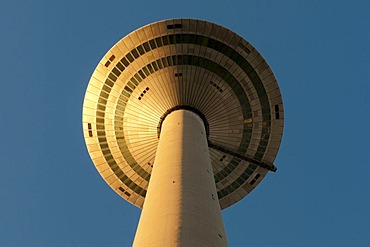 Europaturm tower, nicknamed "Ginnheimer Spargel", in the evening light, Frankfurt am Main, Hesse, Germany, Europe