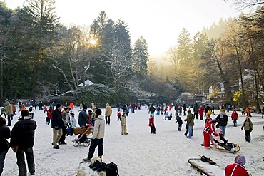 People with skates and sled on frozen Waldsee Lake, Freiburg im Breisgau, Baden-Wuerttemberg, Germany, Europe